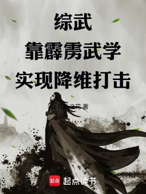 《综武:靠霹雳武学实现降维打击》小说封面