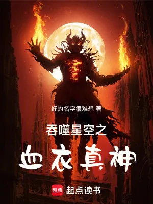 《吞噬星空之血衣真神》小说封面