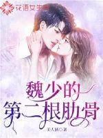 《魏少的第二根肋骨》小说封面