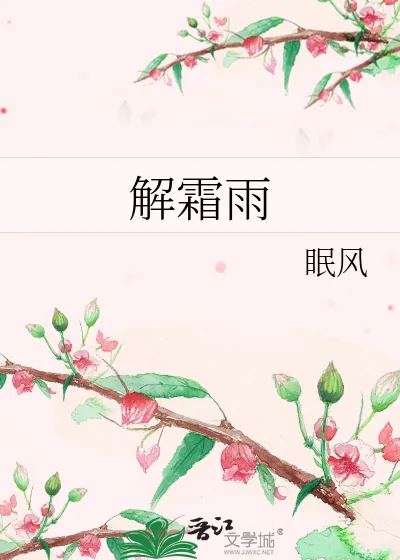 《解霜雨》小说封面