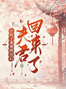 《小叔子兼祧两房后,夫君回来了》小说封面
