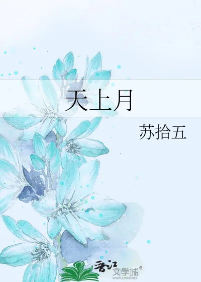 《天上月》小说封面