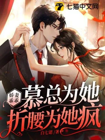 《娇妻乖乖,慕总为她折腰为她疯》小说封面