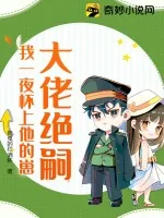 《大佬绝嗣,我一夜怀上他的崽》小说封面