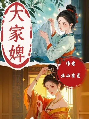 《大家婢》小说封面