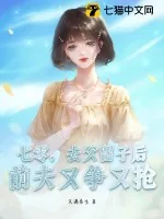 《七零，去父留子后，前夫又争又抢》小说封面