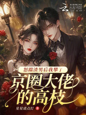 《怒踹渣男后我攀了京圈大佬的高枝》小说封面
