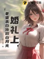 《婚礼上,老婆表白她的白月光》小说封面