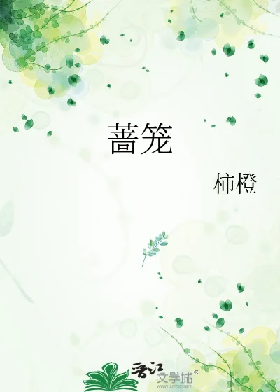 《蔷笼》小说封面