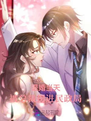 《退婚当天,被总裁拐进民政局》小说封面