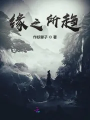 《缘之所趋》小说封面