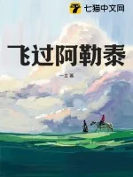 《飞过阿勒泰》小说封面