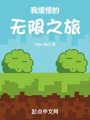 《我缓慢的无限之旅》小说封面