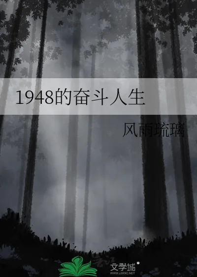 《1948的奋斗人生》小说封面