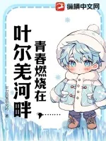 《青春燃烧在叶尔羌河畔》小说封面