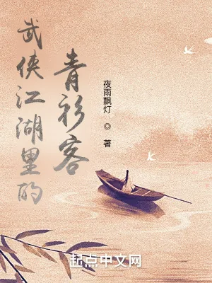《武侠江湖里的青衫客》小说封面