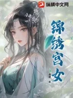 《锦绣宫女》小说封面