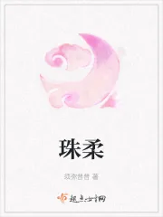 《珠柔》小说封面