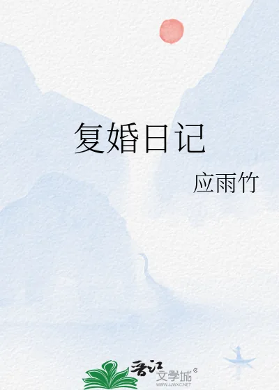 《复婚日记》小说封面
