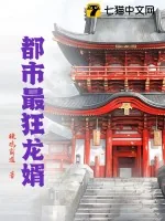 《都市最狂龙婿》小说封面