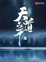 《天道之下》小说封面