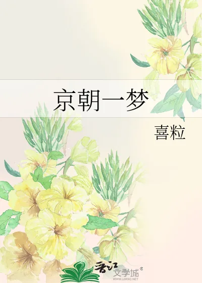 《京朝一梦》小说封面