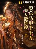 《殷总马甲千千万,夫人撒娇掉一半》小说封面