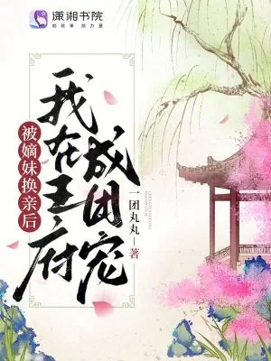 《被嫡妹换亲后我在王府成团宠》小说封面