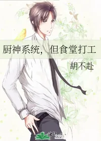 《厨神系统,但食堂打工》小说封面