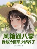 《风箱通八零,我被冷面军少娇养了》小说封面