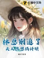 《林总别追了,夫人只想搞科研》小说封面