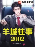 《羊城往事2002》小说封面