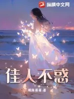《佳人不惑》小说封面