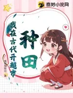 《种田,我在古代开超市》小说封面