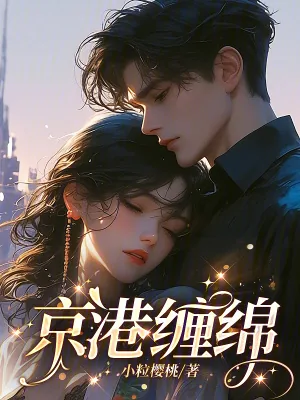 《京港缠绵》小说封面