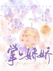 《掌上娇娇》小说封面