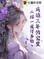 《成婚三年仍完璧,二嫁一夜得多胎》小说封面