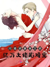 《闪婚娇妻美又娇，亿万大佬掐腰宠》小说封面