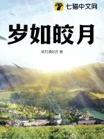 《岁如皎月》小说封面