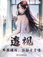 《透视：不去赌石，你都干了啥？》小说封面