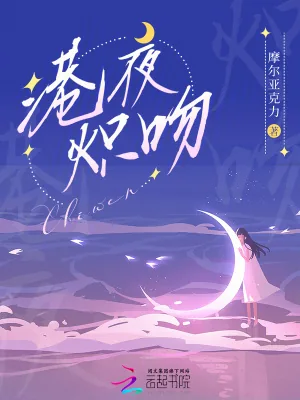 《港夜炽吻》小说封面