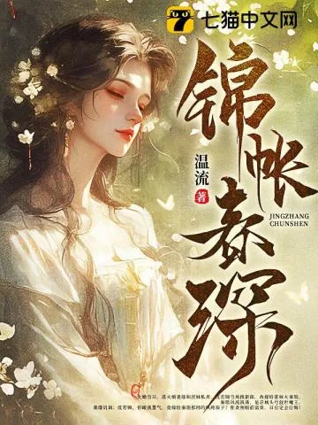 《锦帐春深》小说封面