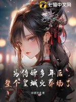 《为侍婢多年后,整个皇城火葬场了》小说封面