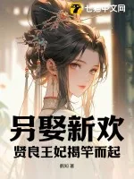 《另娶新欢？贤良王妃揭竿而起》小说封面