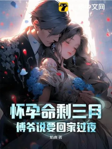 《怀孕命剩三月，傅爷说要回家过夜》小说封面