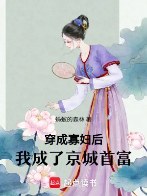 《穿成寡妇后，我成了京城首富》小说封面