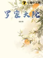 《罗家大院》小说封面