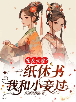 《宠妾灭妻？她一纸休书和小妾过》小说封面