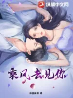 《乘风去见你》小说封面