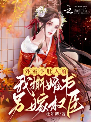 《外室孕肚入府,我撕婚书另嫁权臣》小说封面